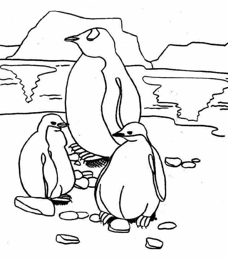 Malvorlage: Pinguin (Tiere) #16876 - Kostenlose Malvorlagen zum Ausdrucken