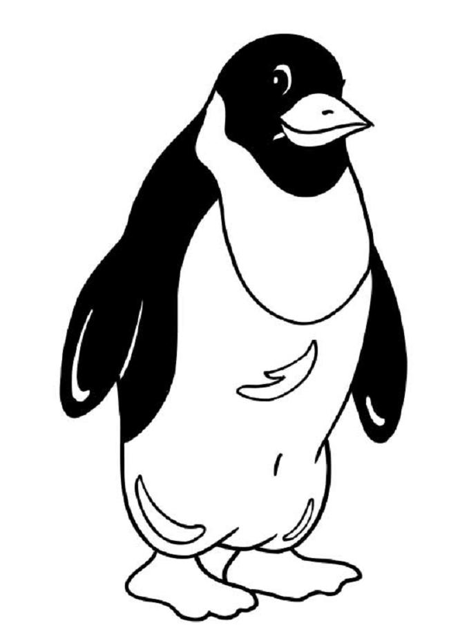 Malvorlage: Pinguin (Tiere) #16882 - Kostenlose Malvorlagen zum Ausdrucken