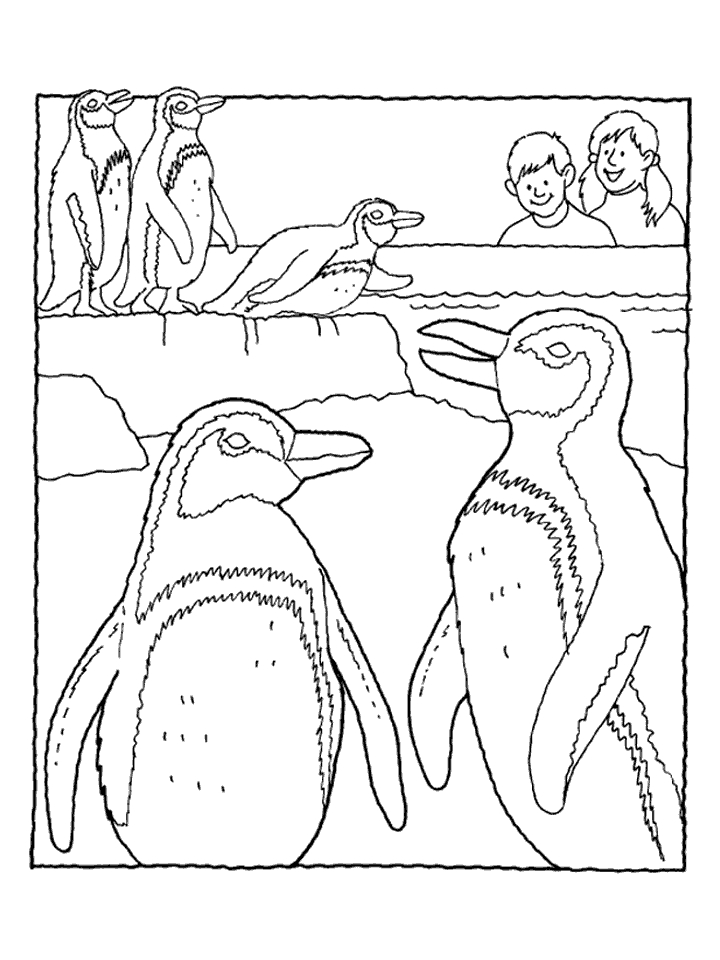 Malvorlage: Pinguin (Tiere) #16901 - Kostenlose Malvorlagen zum Ausdrucken