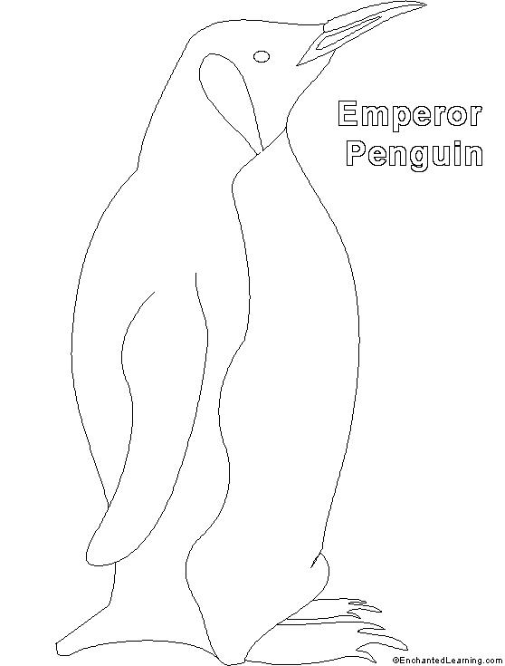 Malvorlage: Pinguin (Tiere) #16994 - Kostenlose Malvorlagen zum Ausdrucken
