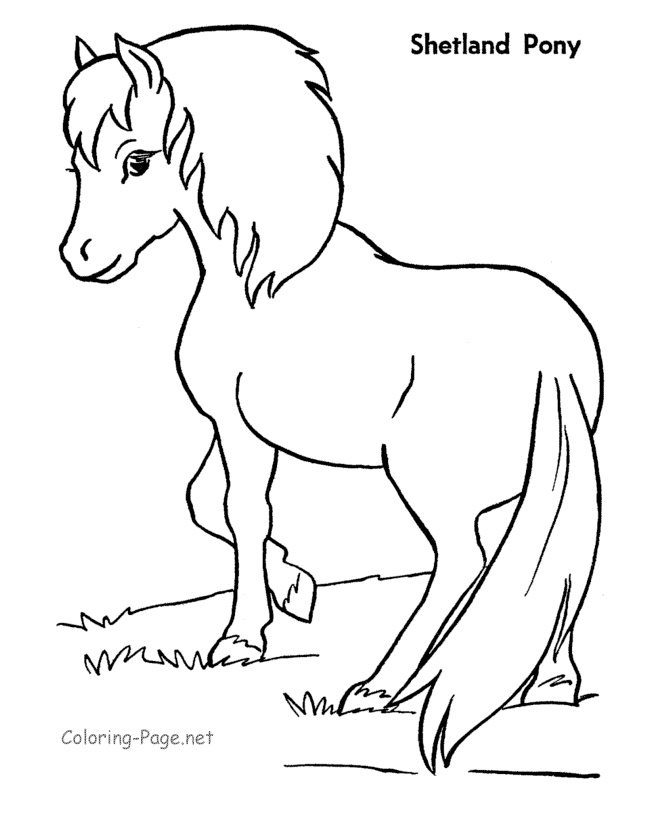 Malvorlage: Pony (Tiere) #17946 - Kostenlose Malvorlagen zum Ausdrucken