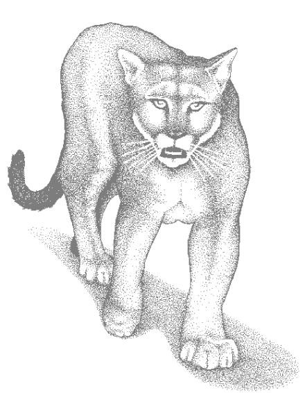Malvorlage: Puma (Tiere) #4444 - Kostenlose Malvorlagen zum Ausdrucken
