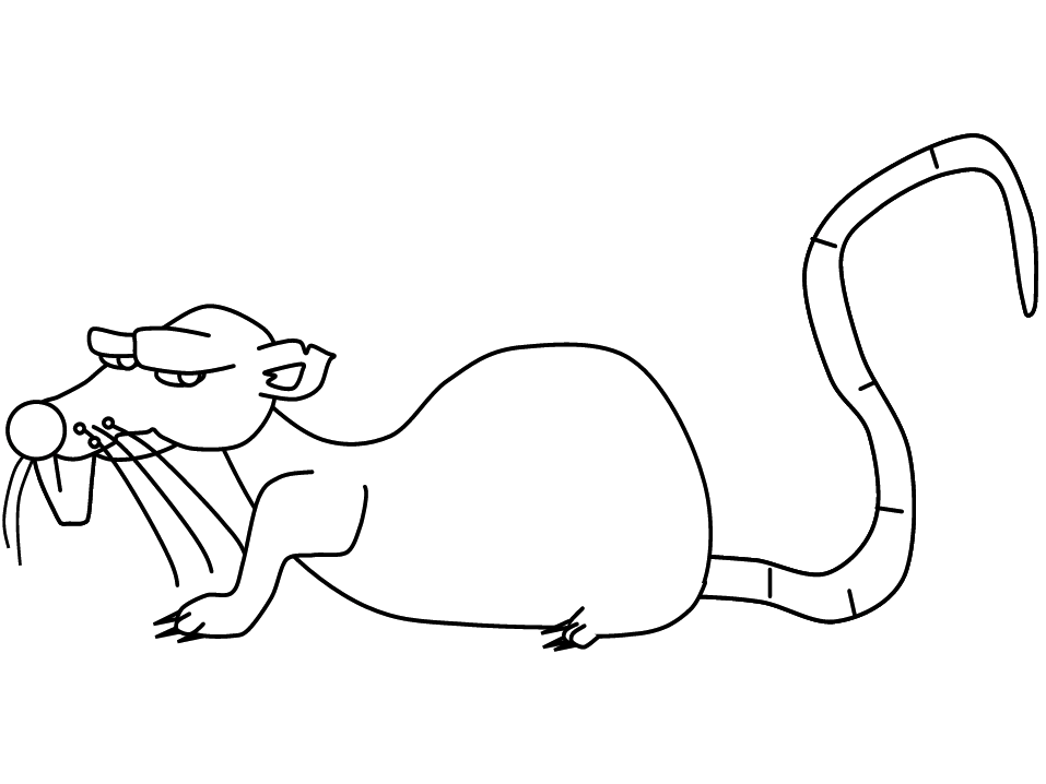 Malvorlage: Ratte (Tiere) #15176 - Kostenlose Malvorlagen zum Ausdrucken
