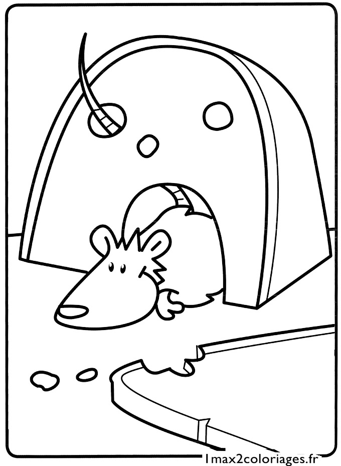 Malvorlage: Ratte (Tiere) #15184 - Kostenlose Malvorlagen zum Ausdrucken