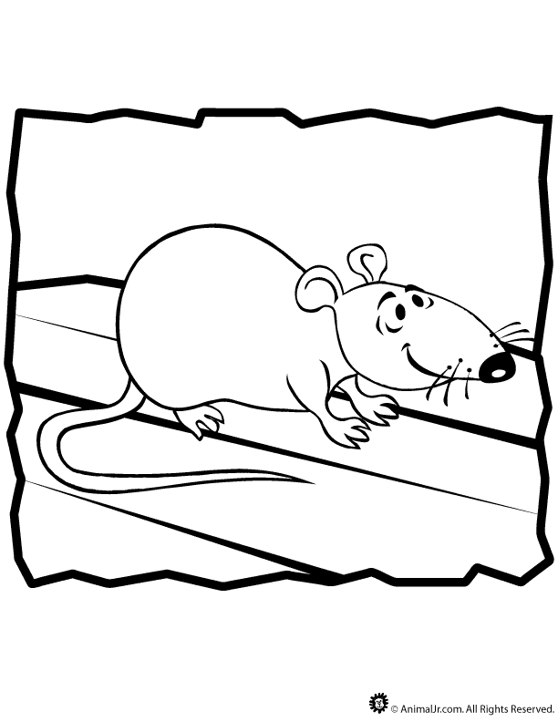 Malvorlage: Ratte (Tiere) #15202 - Kostenlose Malvorlagen zum Ausdrucken
