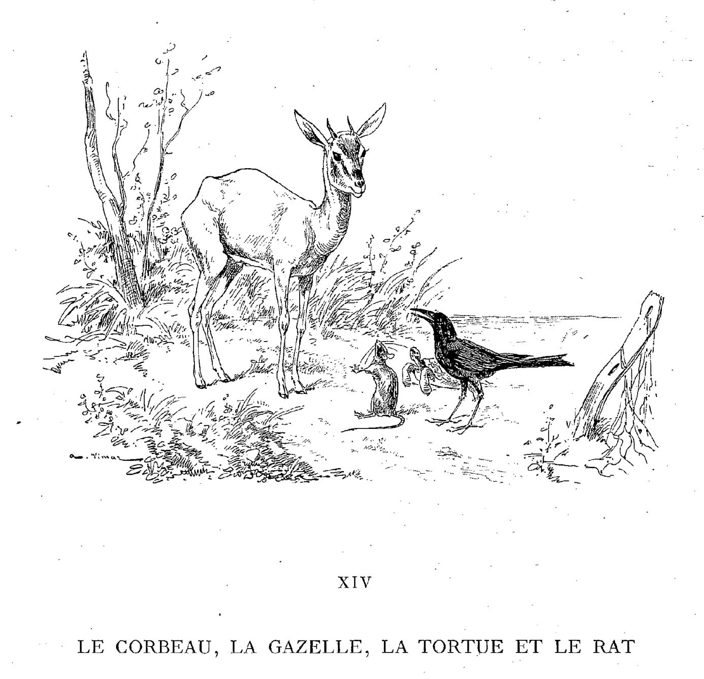 Malvorlage: Ratte (Tiere) #15204 - Kostenlose Malvorlagen zum Ausdrucken