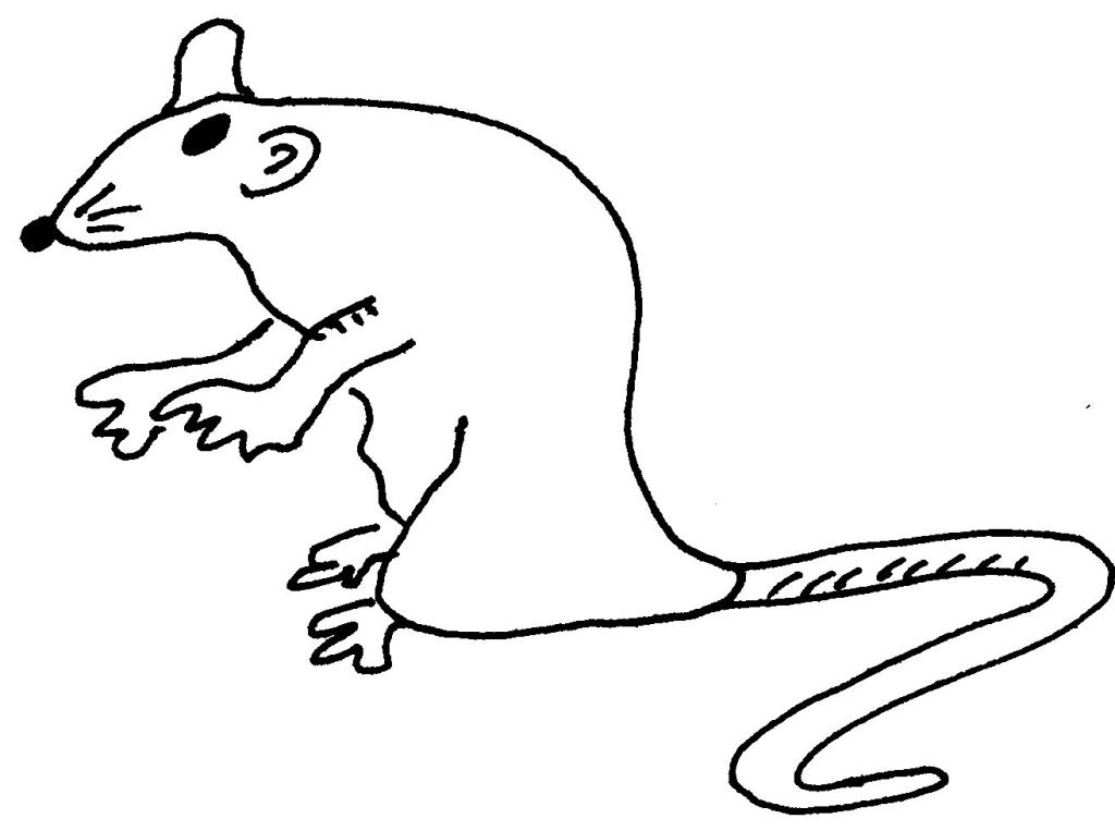 Malvorlage: Ratte (Tiere) #15242 - Kostenlose Malvorlagen zum Ausdrucken