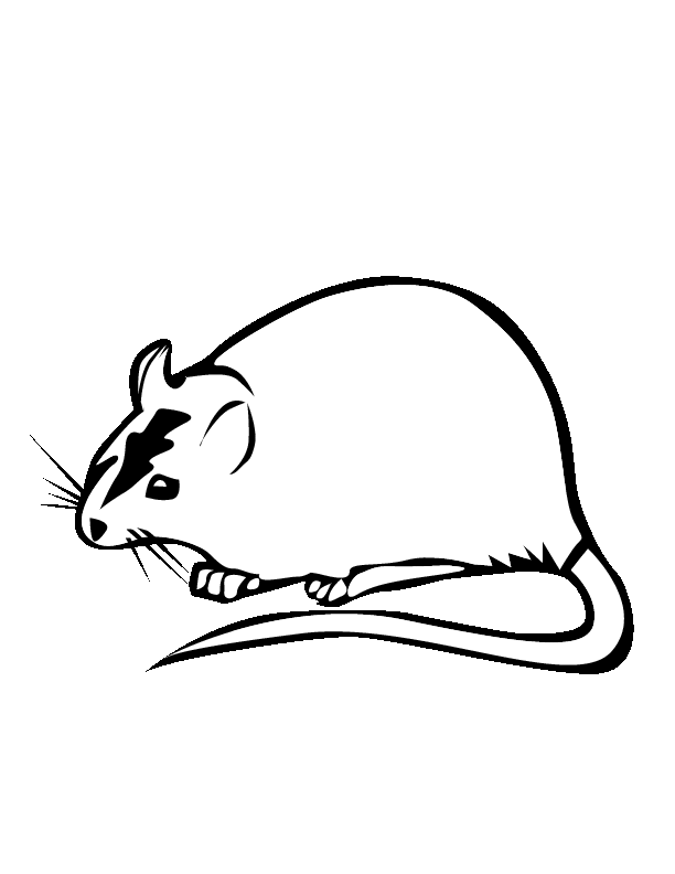 Malvorlage: Ratte (Tiere) #15255 - Kostenlose Malvorlagen zum Ausdrucken
