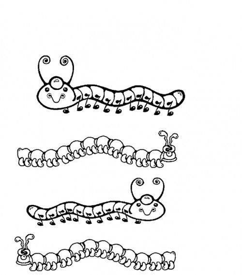 Malvorlage: Raupe (Tiere) #18417 - Kostenlose Malvorlagen zum Ausdrucken