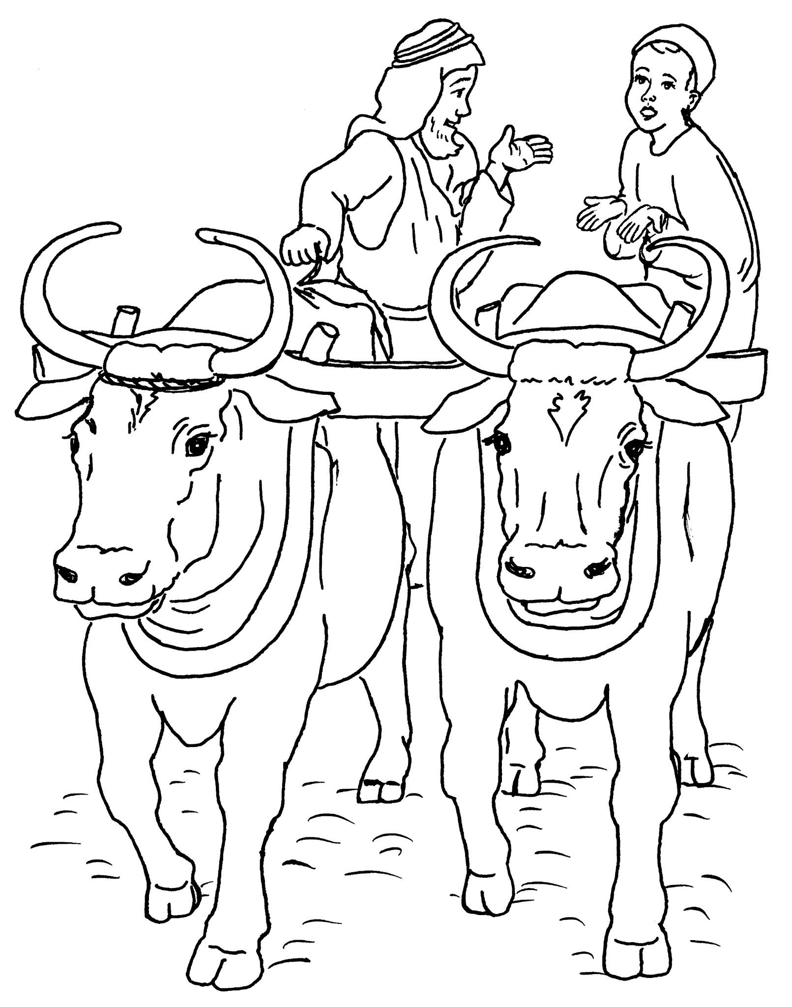 Malvorlage: Rindfleisch (Tiere) #1356 - Kostenlose Malvorlagen zum Ausdrucken