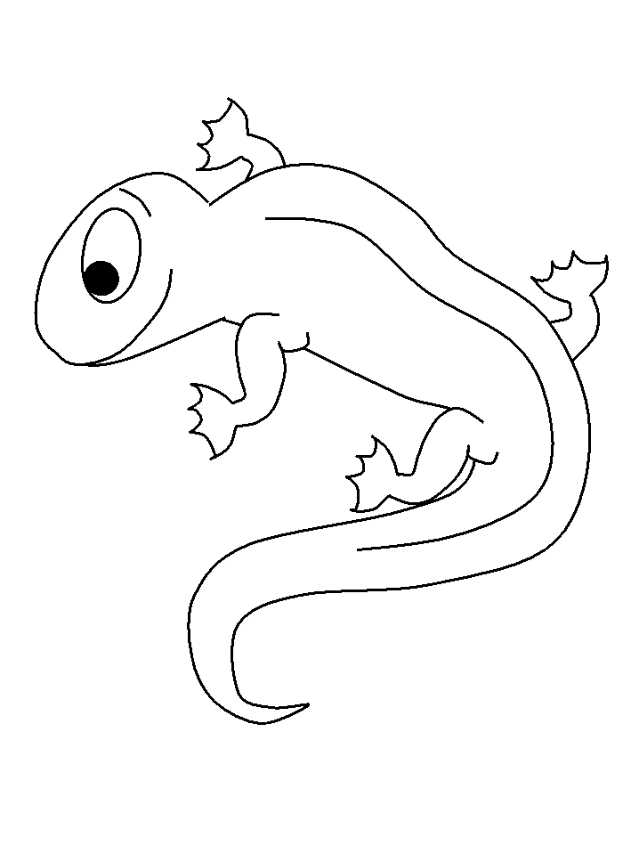 Malvorlage: Salamander (Tiere) #19906 - Kostenlose Malvorlagen zum Ausdrucken
