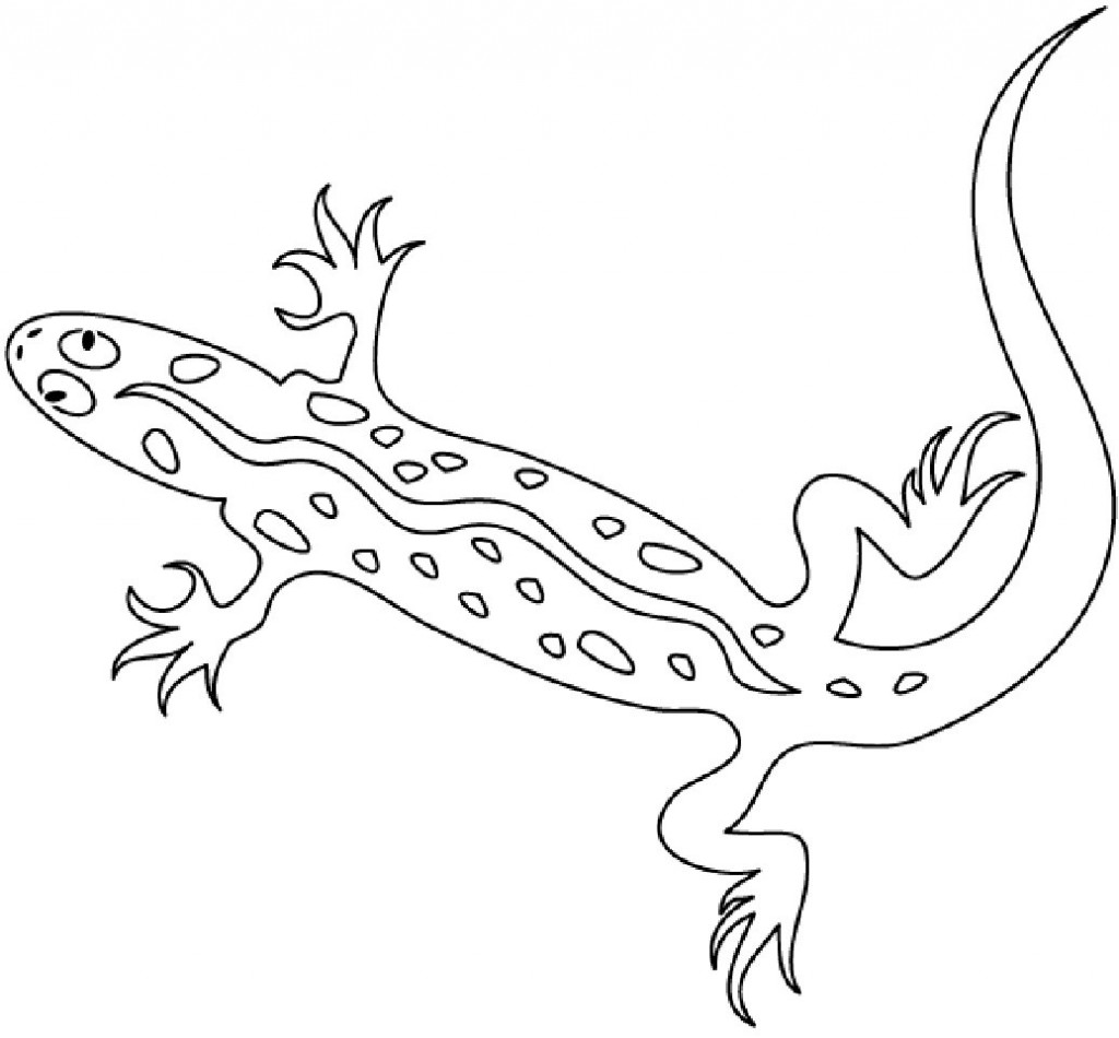 Malvorlage: Salamander (Tiere) #19930 - Kostenlose Malvorlagen zum Ausdrucken