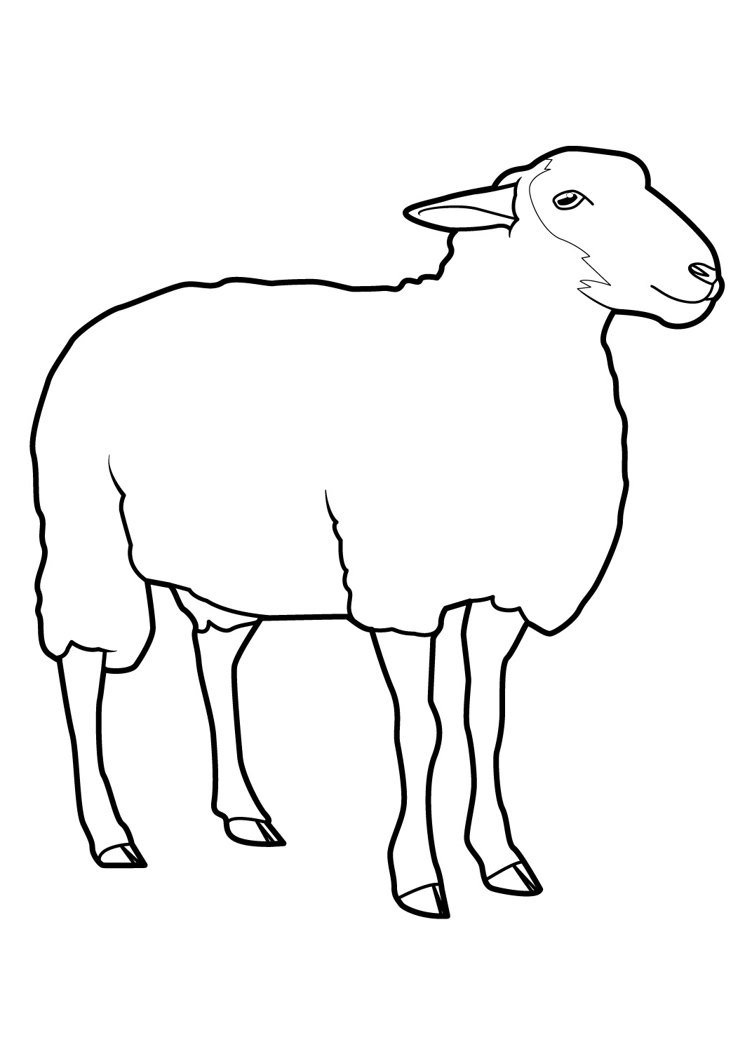 Malvorlage: Schaf (Tiere) #11390 - Kostenlose Malvorlagen zum Ausdrucken