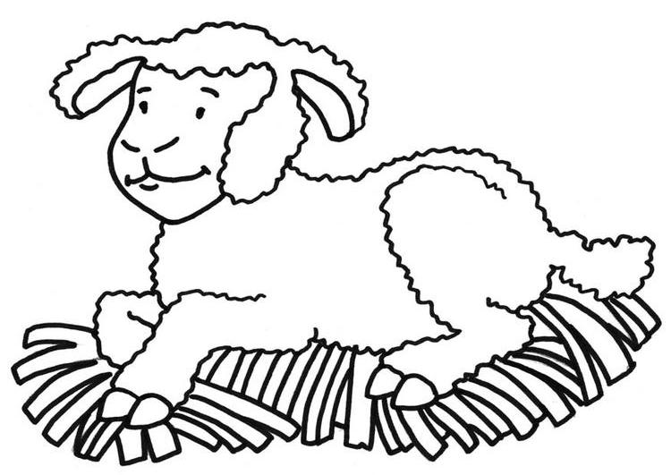 Malvorlage: Schaf (Tiere) #11405 - Kostenlose Malvorlagen zum Ausdrucken