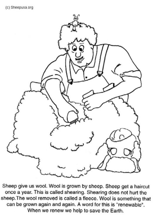 Malvorlage: Schaf (Tiere) #11411 - Kostenlose Malvorlagen zum Ausdrucken