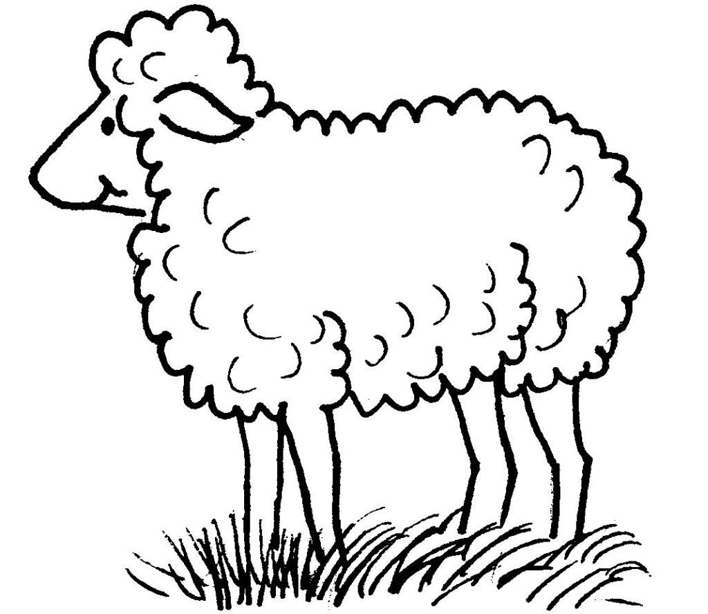 Malvorlage: Schaf (Tiere) #11412 - Kostenlose Malvorlagen zum Ausdrucken