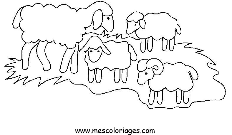 Malvorlage: Schaf (Tiere) #11414 - Kostenlose Malvorlagen zum Ausdrucken