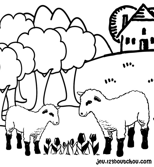 Malvorlage: Schaf (Tiere) #11416 - Kostenlose Malvorlagen zum Ausdrucken