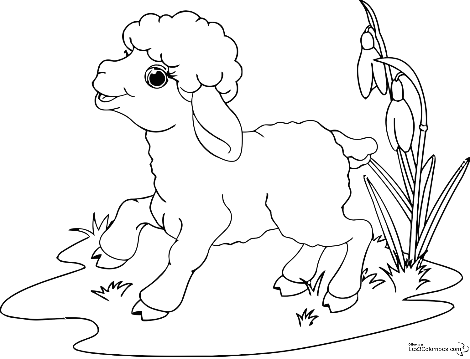 Malvorlage: Schaf (Tiere) #11422 - Kostenlose Malvorlagen zum Ausdrucken