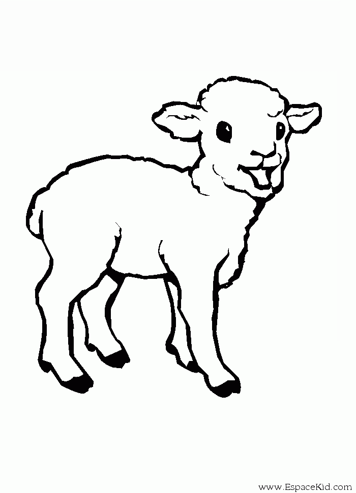 Malvorlage: Schaf (Tiere) #11427 - Kostenlose Malvorlagen zum Ausdrucken