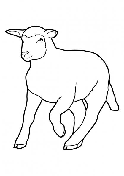 Malvorlage: Schaf (Tiere) #11428 - Kostenlose Malvorlagen zum Ausdrucken