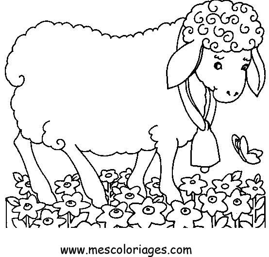 Malvorlage: Schaf (Tiere) #11429 - Kostenlose Malvorlagen zum Ausdrucken