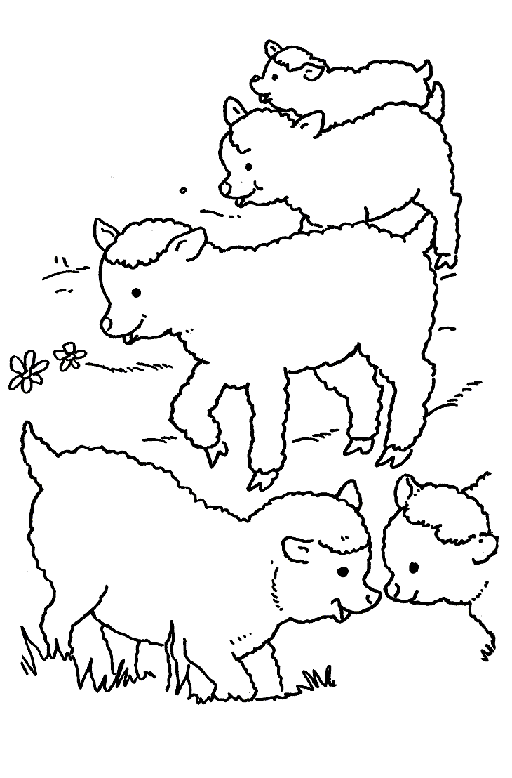 Malvorlage: Schaf (Tiere) #11431 - Kostenlose Malvorlagen zum Ausdrucken