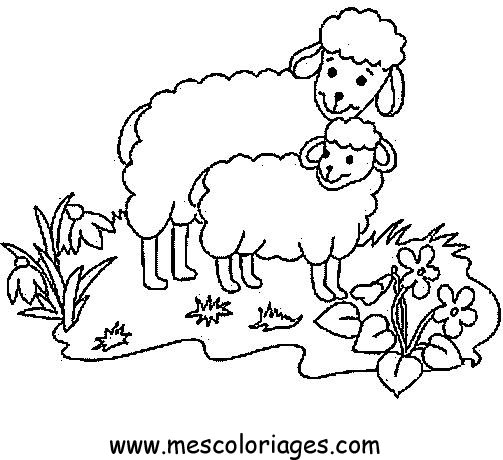Malvorlage: Schaf (Tiere) #11436 - Kostenlose Malvorlagen zum Ausdrucken