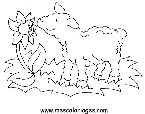 Malvorlage: Schaf (Tiere) #11458 - Kostenlose Malvorlagen zum Ausdrucken