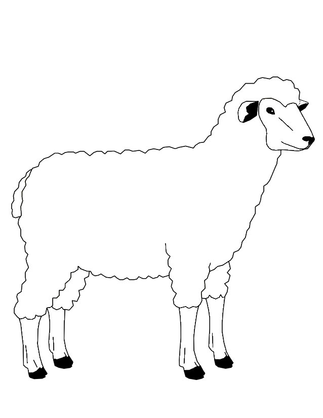 Malvorlage: Schaf (Tiere) #11471 - Kostenlose Malvorlagen zum Ausdrucken