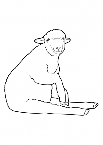 Malvorlage: Schaf (Tiere) #11492 - Kostenlose Malvorlagen zum Ausdrucken