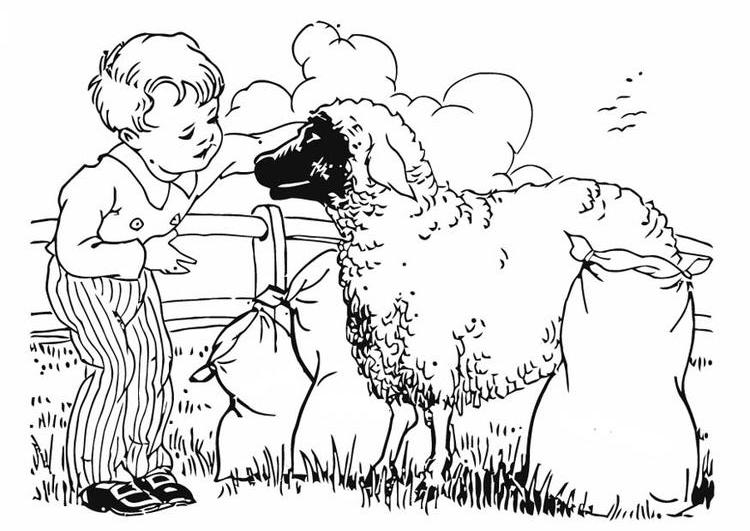 Malvorlage: Schaf (Tiere) #11497 - Kostenlose Malvorlagen zum Ausdrucken
