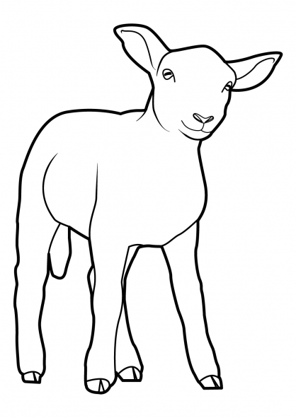 Malvorlage: Schaf (Tiere) #11502 - Kostenlose Malvorlagen zum Ausdrucken
