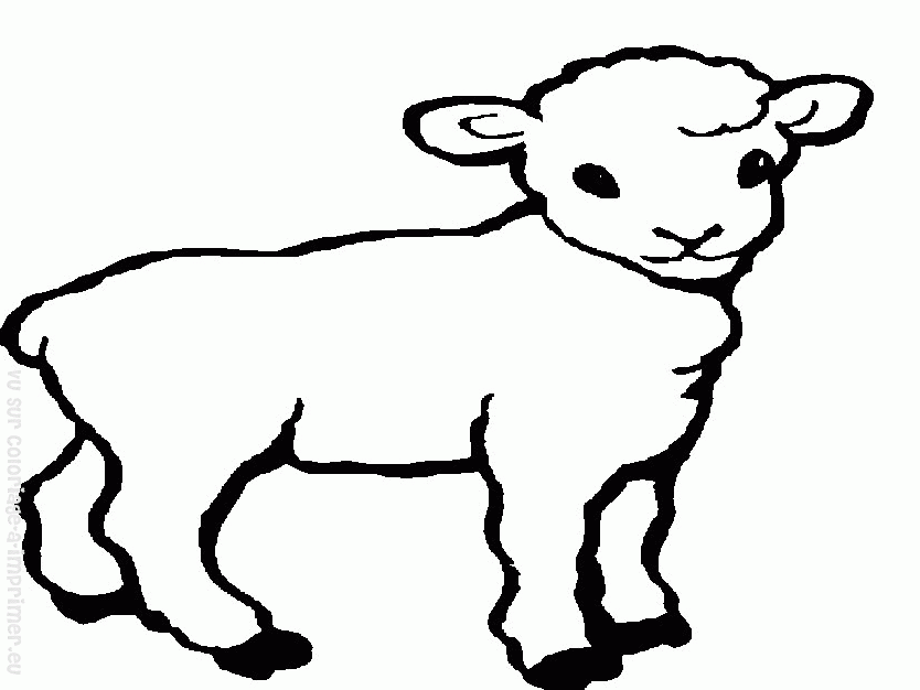 Malvorlage: Schaf (Tiere) #11505 - Kostenlose Malvorlagen zum Ausdrucken