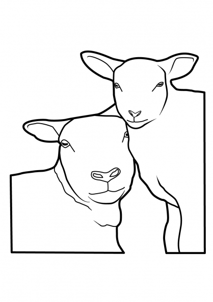 Malvorlage: Schaf (Tiere) #11514 - Kostenlose Malvorlagen zum Ausdrucken