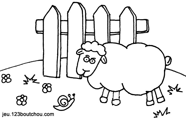 Malvorlage: Schaf (Tiere) #11539 - Kostenlose Malvorlagen zum Ausdrucken