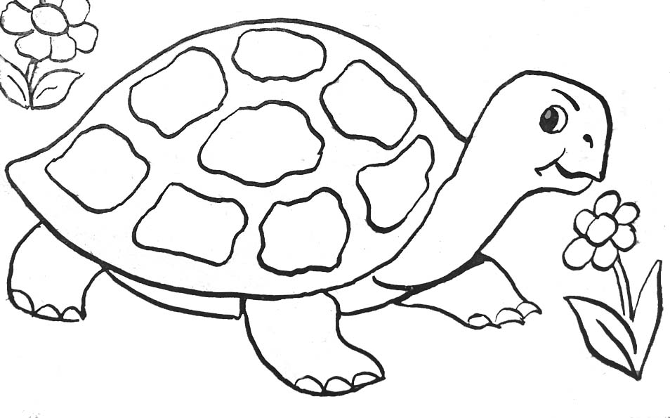Malvorlage: Schildkröte (Tiere) #13391 - Kostenlose Malvorlagen zum Ausdrucken