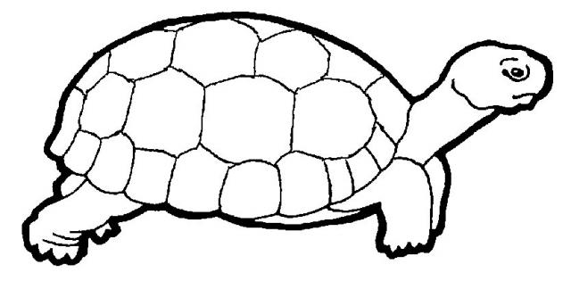 Malvorlage: Schildkröte (Tiere) #13394 - Kostenlose Malvorlagen zum Ausdrucken