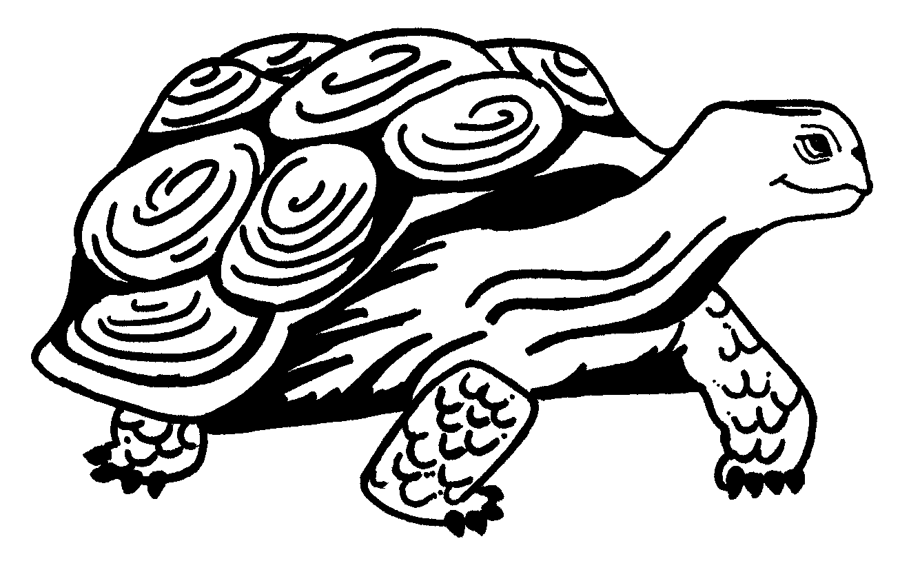 Malvorlage: Schildkröte (Tiere) #13403 - Kostenlose Malvorlagen zum Ausdrucken