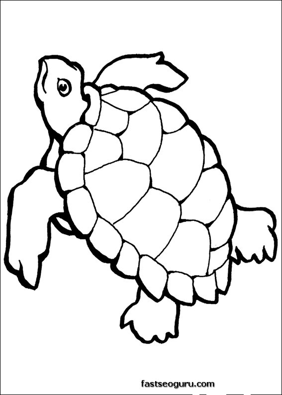 Malvorlage: Schildkröte (Tiere) #13429 - Kostenlose Malvorlagen zum Ausdrucken