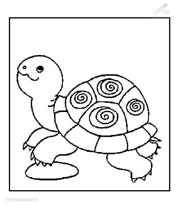 Malvorlage: Schildkröte (Tiere) #13432 - Kostenlose Malvorlagen zum Ausdrucken