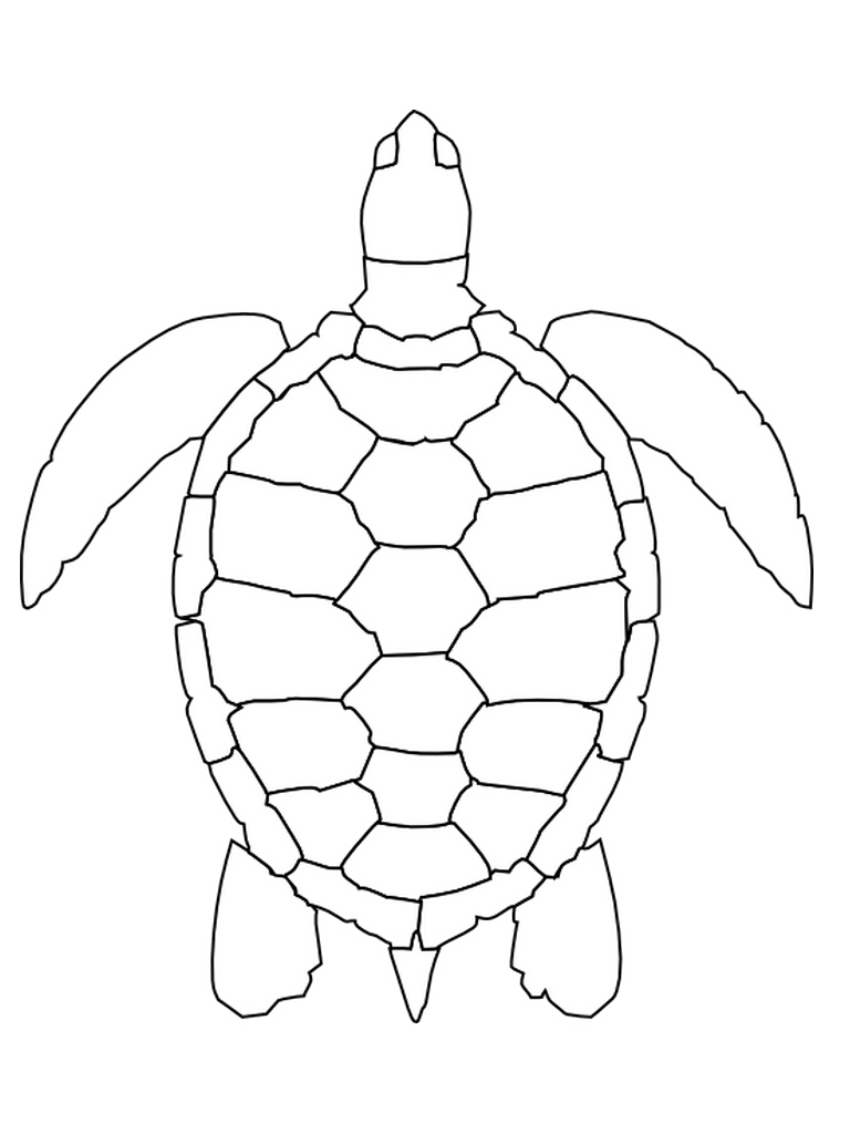 Malvorlage: Schildkröte (Tiere) #13467 - Kostenlose Malvorlagen zum Ausdrucken
