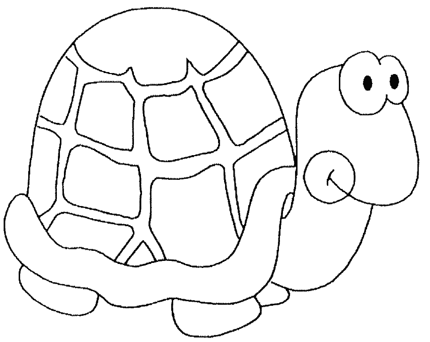 Malvorlage: Schildkröte (Tiere) #13504 - Kostenlose Malvorlagen zum Ausdrucken