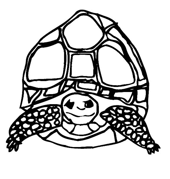 Malvorlage: Schildkröte (Tiere) #13510 - Kostenlose Malvorlagen zum Ausdrucken