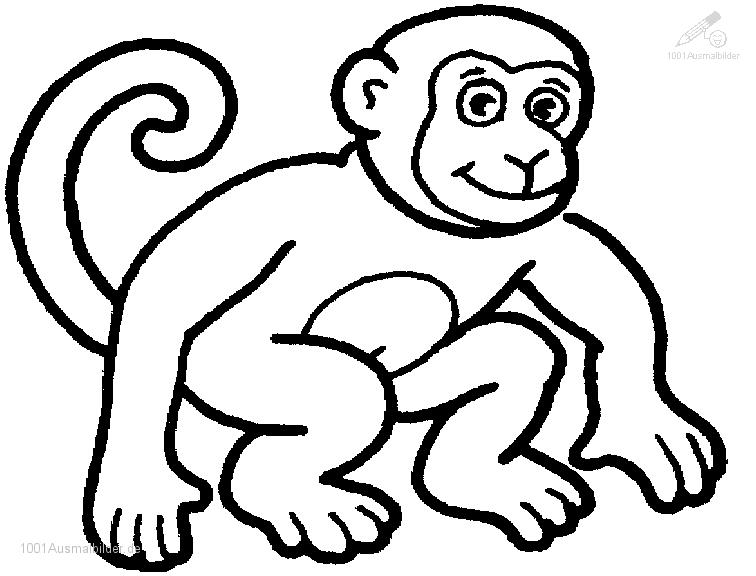 Malvorlage: Schimpanse (Tiere) #2788 - Kostenlose Malvorlagen zum Ausdrucken