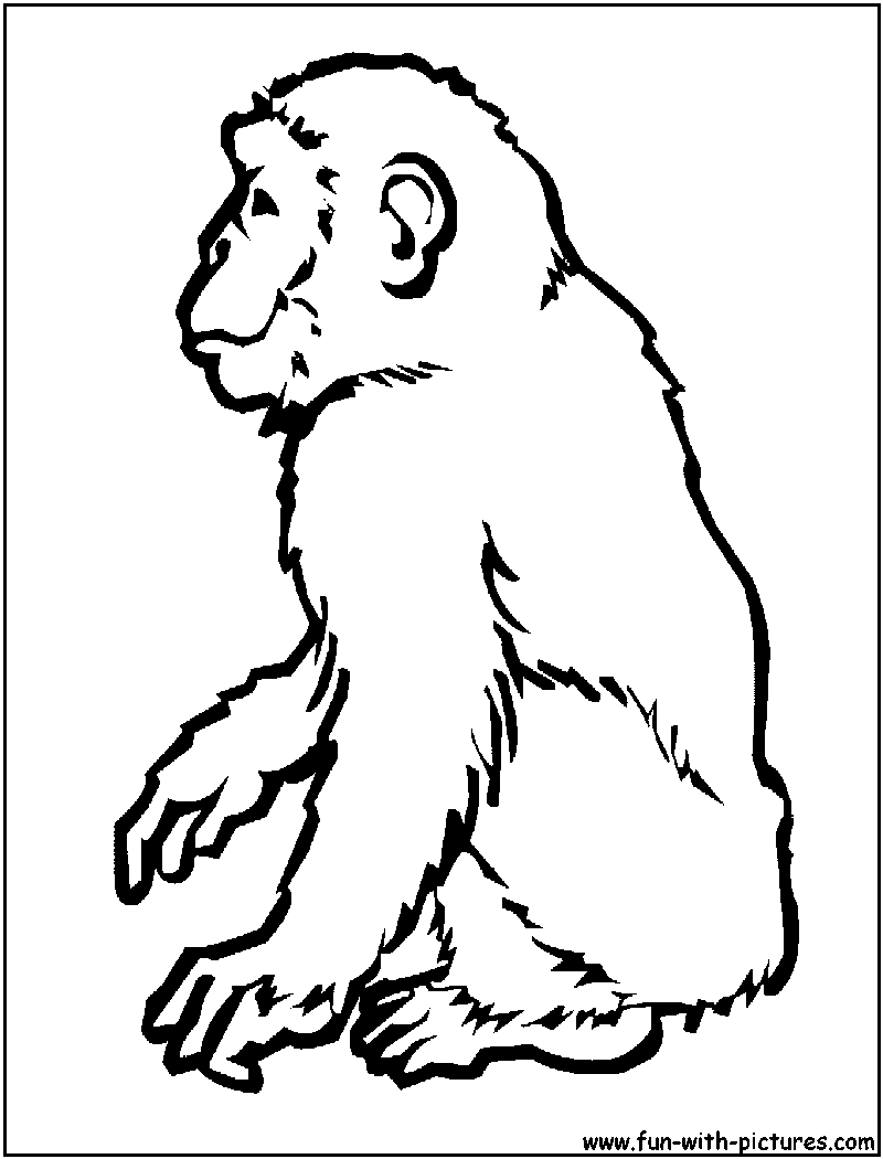 Malvorlage: Schimpanse (Tiere) #2794 - Kostenlose Malvorlagen zum Ausdrucken
