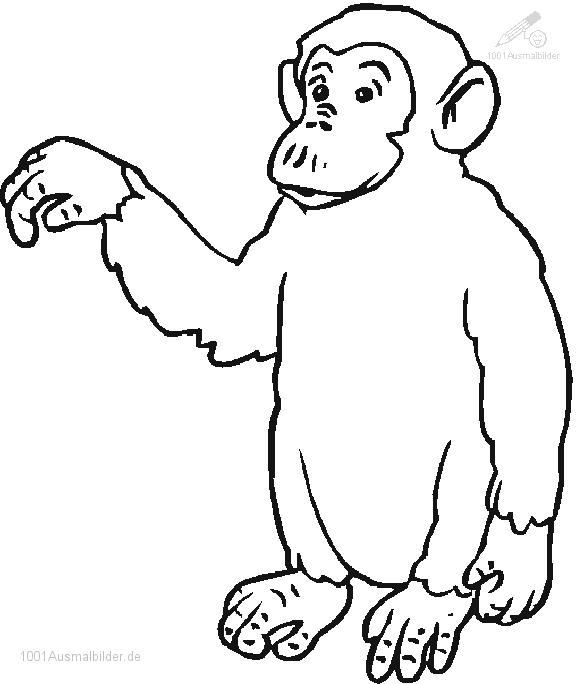 Malvorlage: Schimpanse (Tiere) #2805 - Kostenlose Malvorlagen zum Ausdrucken