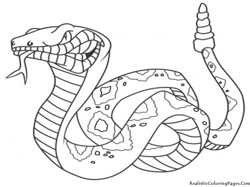 Malvorlage: Schlange (Tiere) #14342 - Kostenlose Malvorlagen zum Ausdrucken