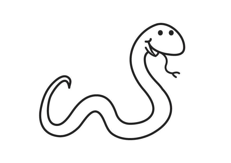 Malvorlage: Schlange (Tiere) #14353 - Kostenlose Malvorlagen zum Ausdrucken