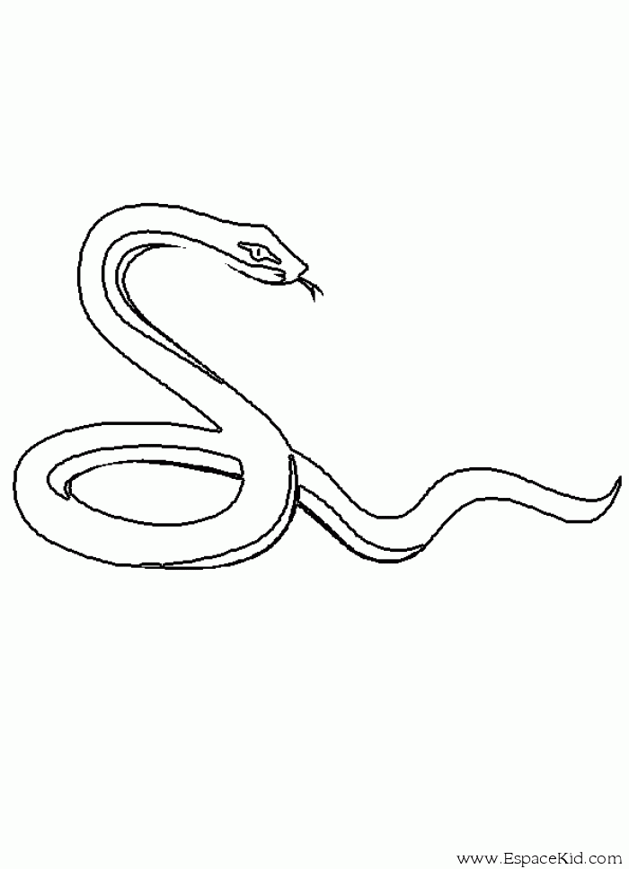 Malvorlage: Schlange (Tiere) #14365 - Kostenlose Malvorlagen zum Ausdrucken